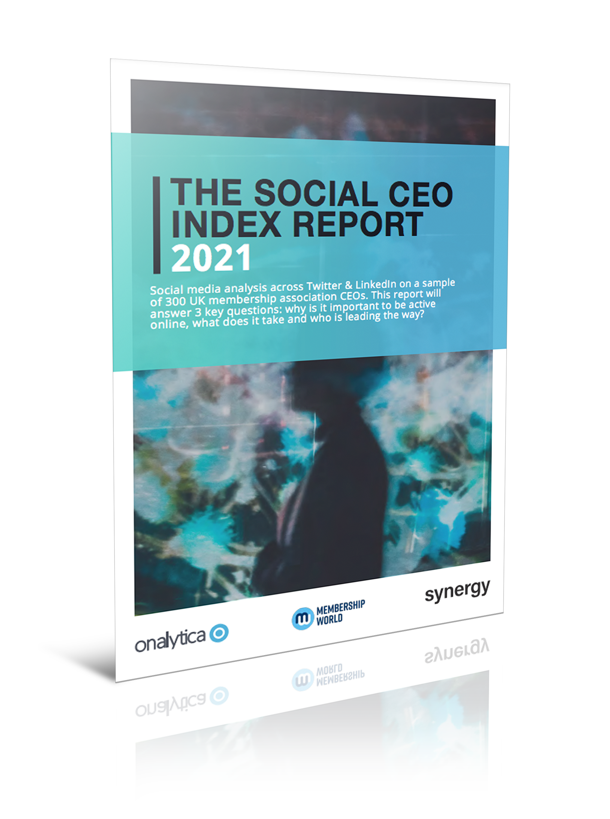 social-ceo-report-21